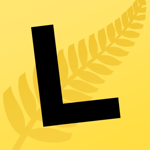 nz driving theory test