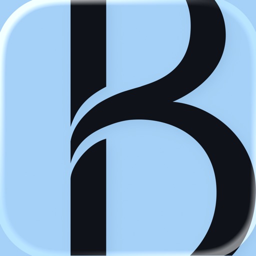 blacklane: private chauffeurs