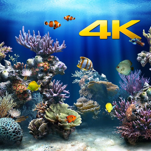 aquarium 4k √