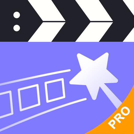 perfect video pro