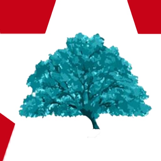roble