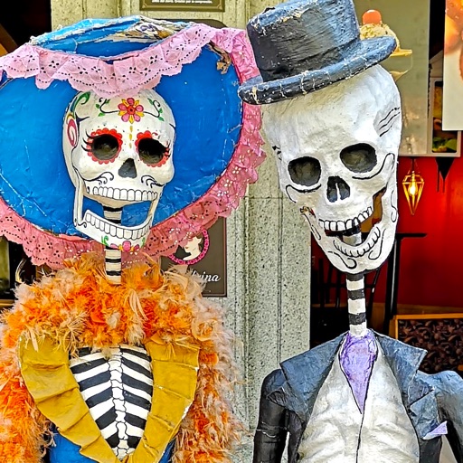 mexico city’s best: trip guide