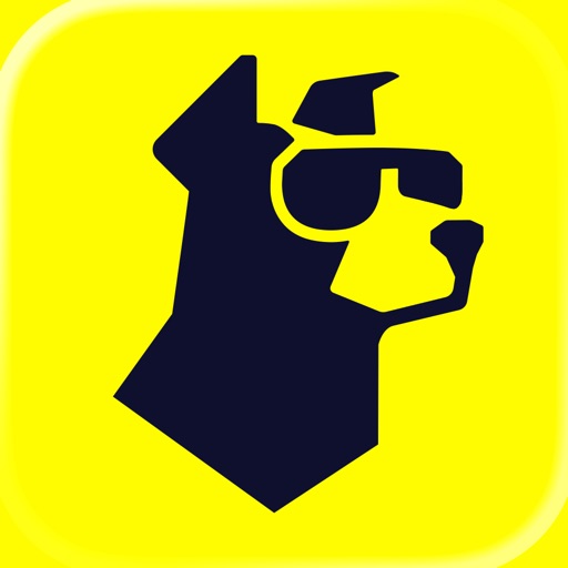 underdog sports