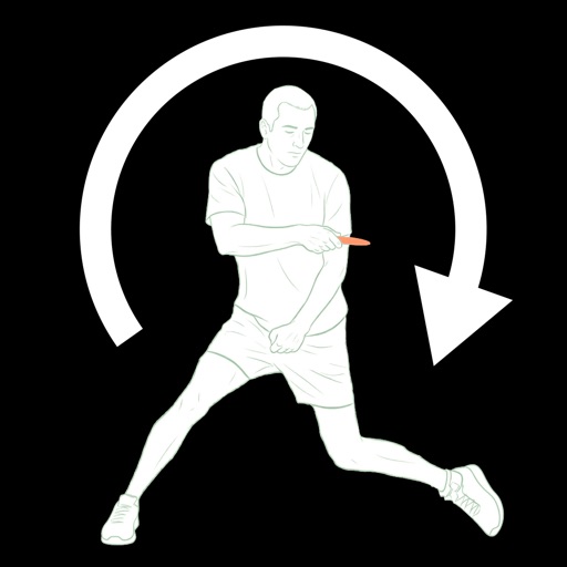 disc golf form replay