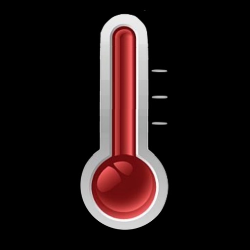 thermometer - plus -