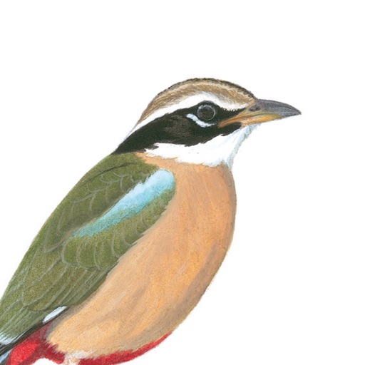 eguide to birds of the indian subcontinent