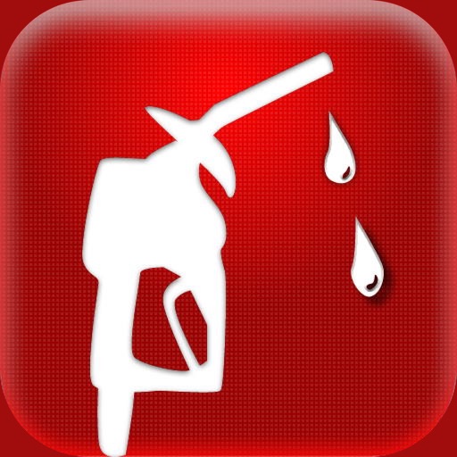 car care fuel & service log