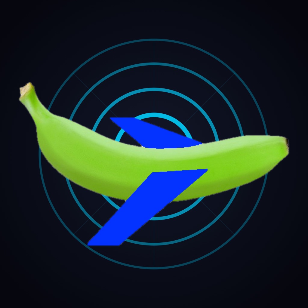 Airspace Ace