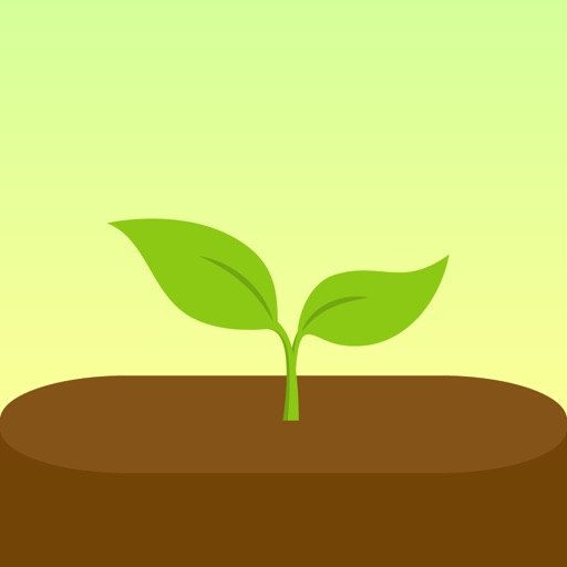 forest: focus for productivity