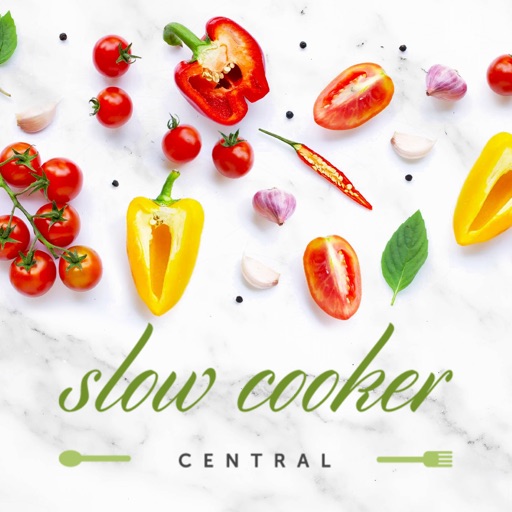 slow cooker central