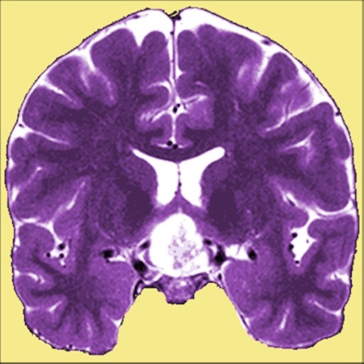 neuro toolkit