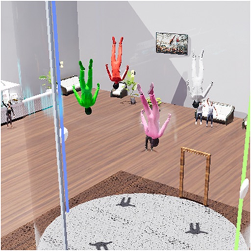 dynamic flying compulsories
