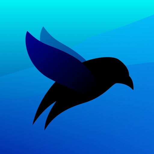 swifter for swiftui