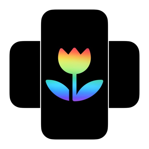 horizontal & vertical camera
