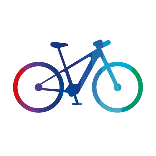 ebike flow