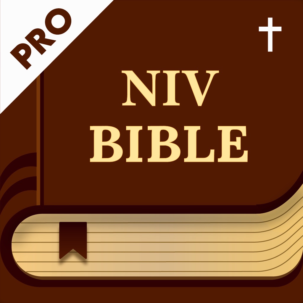 New International Version Pro.