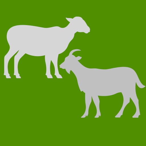 goat / sheep weight estimator