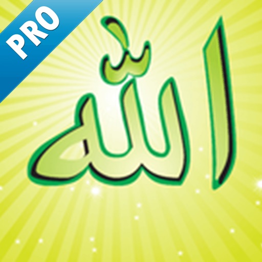 99 names of allah (pro)
