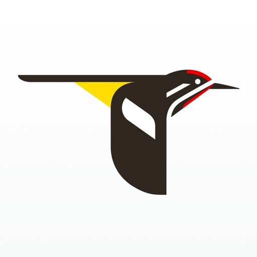 merlin bird id by cornell lab