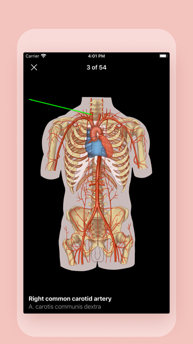 screenshot 10