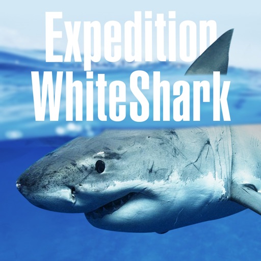 expedition white shark