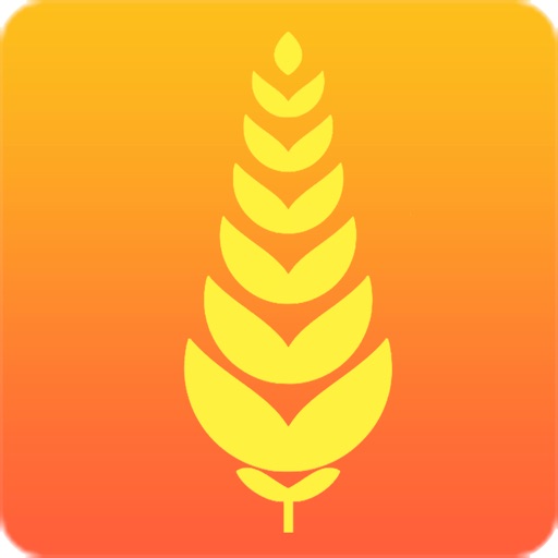 ibrewer