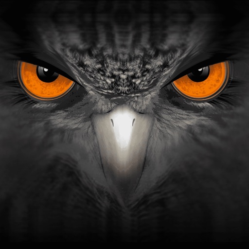 eagleeyes-plus