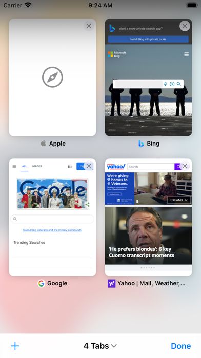 screenshot 1