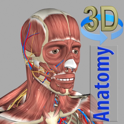 3d anatomy