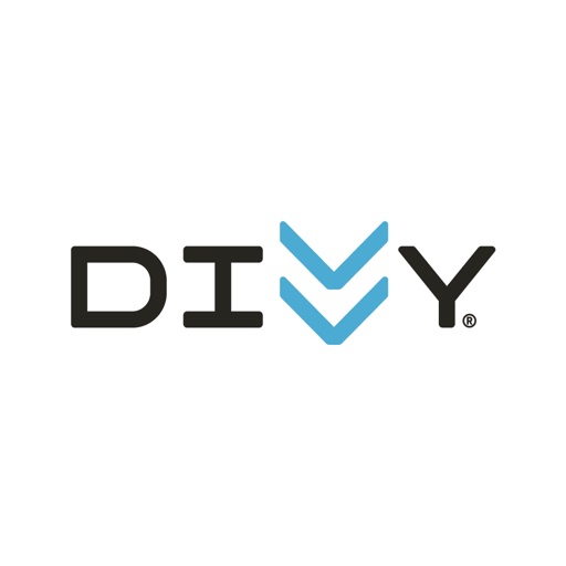 divvy bikes