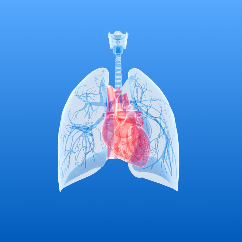 Sons Cardíacos e Pulmonares