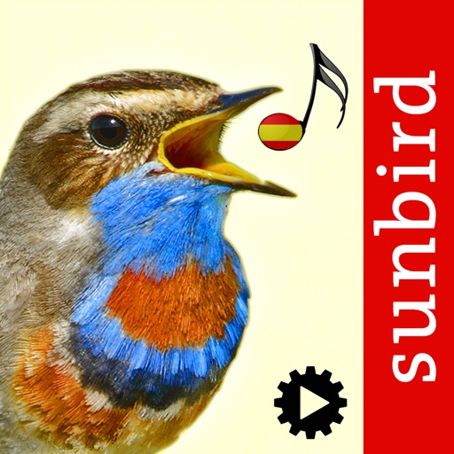 cantos de aves id