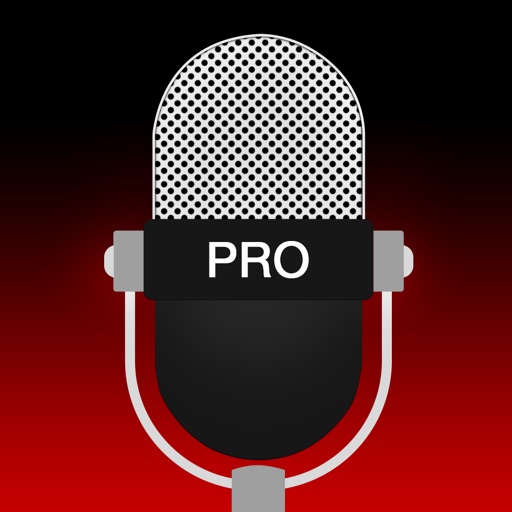 voice recorder - audio record