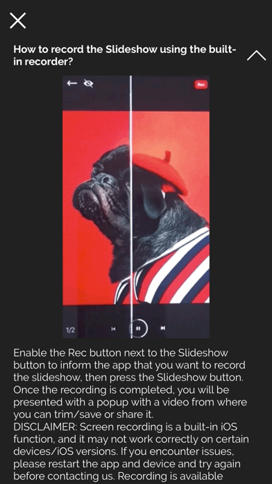 screenshot 7