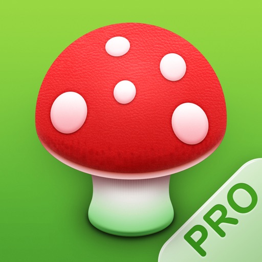 pilze 123