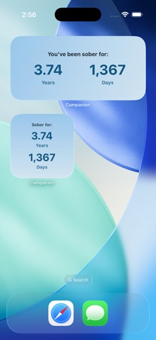 screenshot 10
