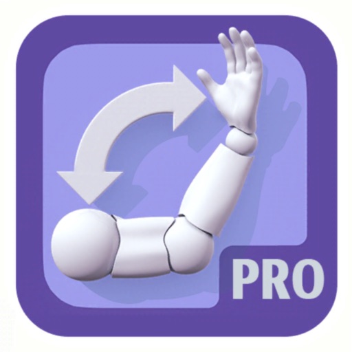 artpose pro