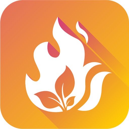 wildfire - fire map info