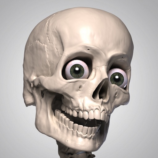 skelly - art model