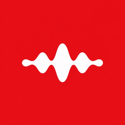 redrec - transcrição offline