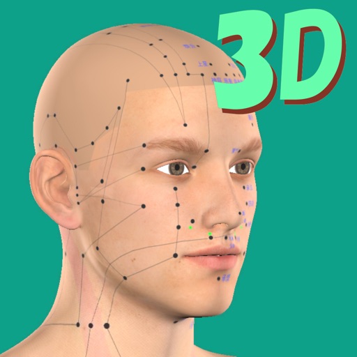 経絡ツボ3d