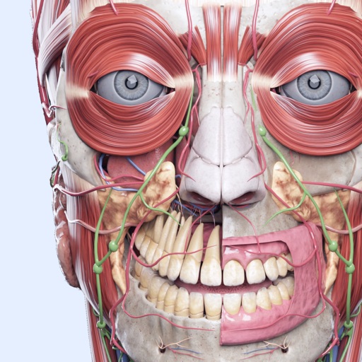 voka: atlas de anatomia 3d