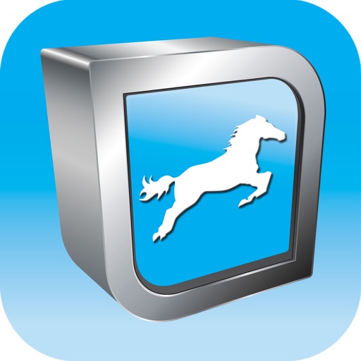 equine joint injections