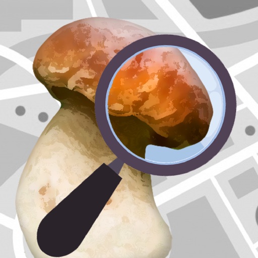 pilz erkenner - auto erkennung