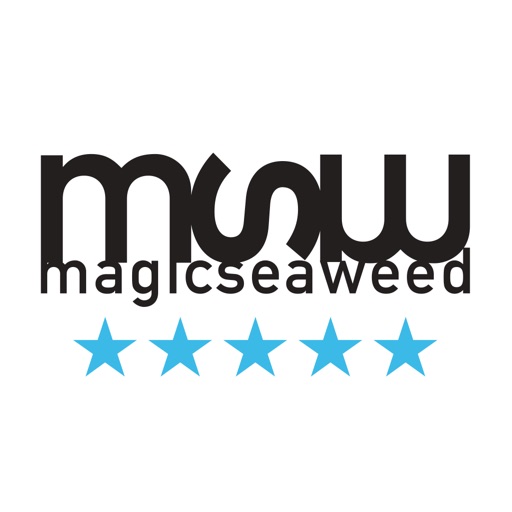 msw surf forecast