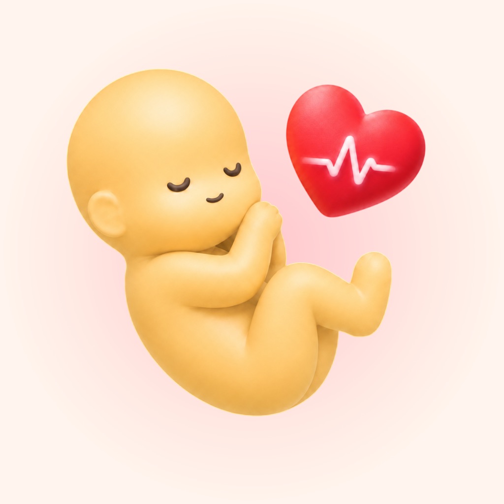 Belly Beat - Baby Heartbeat