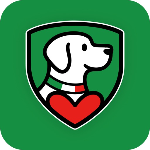 vaidog: addestramento cani