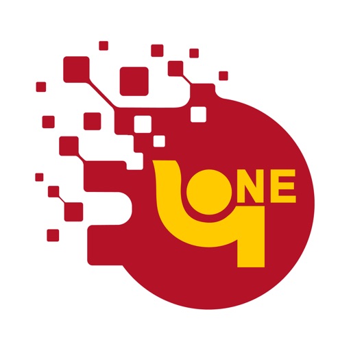 pnb one