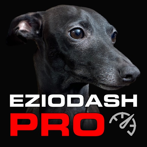 eziodashpro