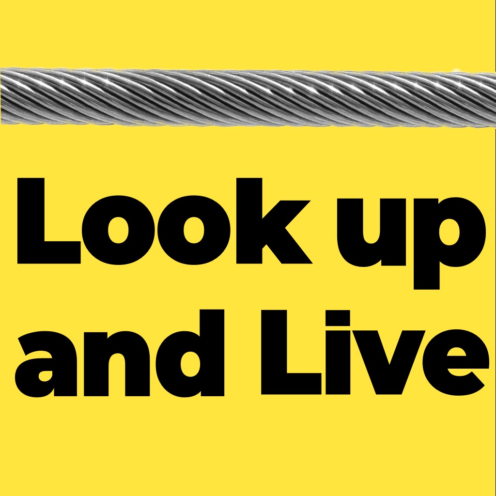 Look up and Live
